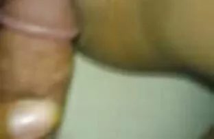 Tori سیاه و سفید بازی فیلم کوتاه یکسی می کند انگشت با گربه