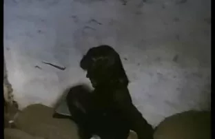 مرد متورم از licks بیدمشک تراشیده از یک خانم بلوند سکسی, fucks در انگشت خود و آن را هل سخت فیلمسکسی کوتاه به تنه و fucks در او